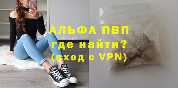 прущий лед Богданович