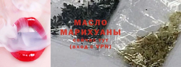 прущий лед Богданович