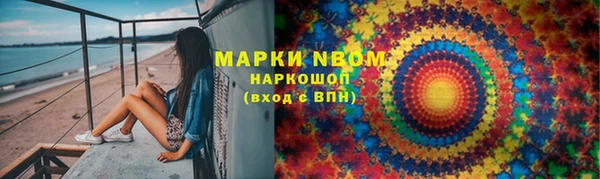 прущий лед Богданович