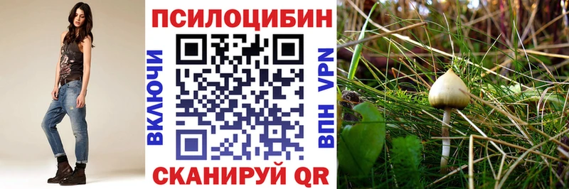 Галлюциногенные грибы Psilocybe  купить   Мезень 